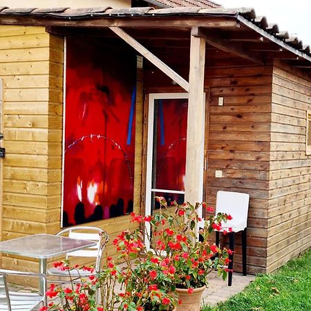 Cabane Cote Jardin 툴루즈 외부 사진